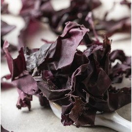 Celeryjus Dulse Whole Leaf, 16 oz, Hand-Harvested from Maine, USA