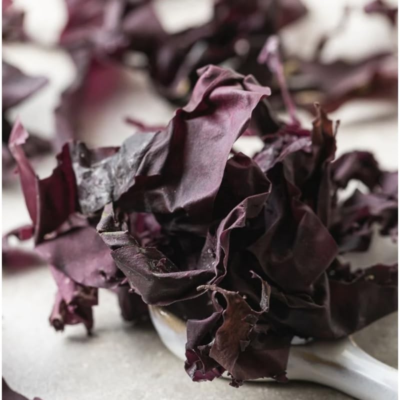 Celeryjus Dulse Whole Leaf, 16 oz, Hand-Harvested from Maine, USA