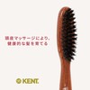 GB Kent Purse Size Hair Brush LR31
