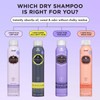 HASK, Shampoo en Seco, con Extracto de Semillas de Chía,
