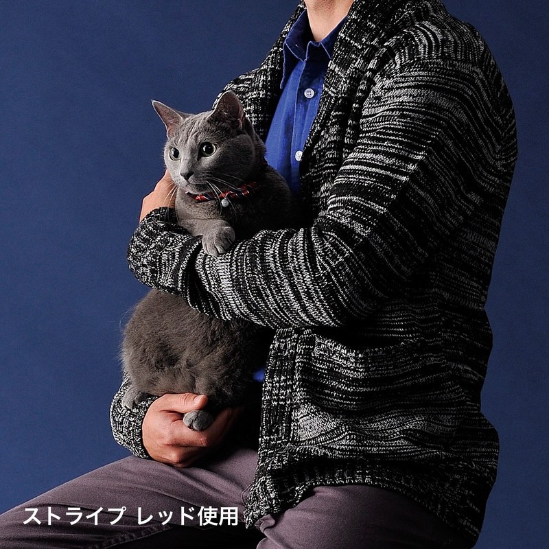 ペティオ (Petio) 首輪 シャルマン キャットカラーシュシュ チェック ブルー 猫用