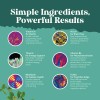 Natures Craft Multivitamnico Cpsulas Botella 60 Unidades Mind Memory Matrix