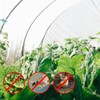 10 x 33FT Garden Mesh Netting, Ultra Fine Mesh Protection