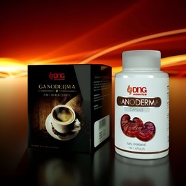 DNG Malaysia Ganoderma Coffee 2 in 1 (4 boxes - 80 sachets)