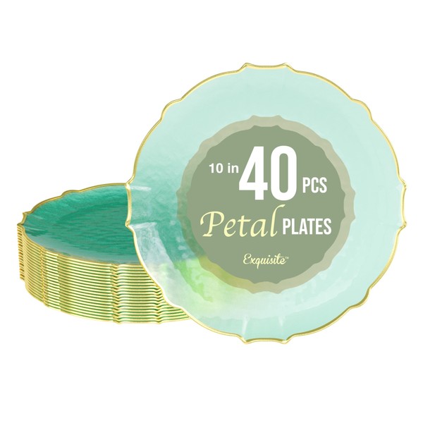 Exquisite Elegant Plastic Plates For Party 40 Dinner Plates -