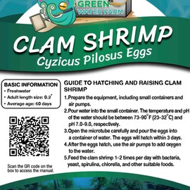 GreenWaterFarm Clam Shrimp Cyzicus Pilosus Eggs for Hatching and Culture Suitable to be Pet and Science Project (Pure 2,000 Eggs)