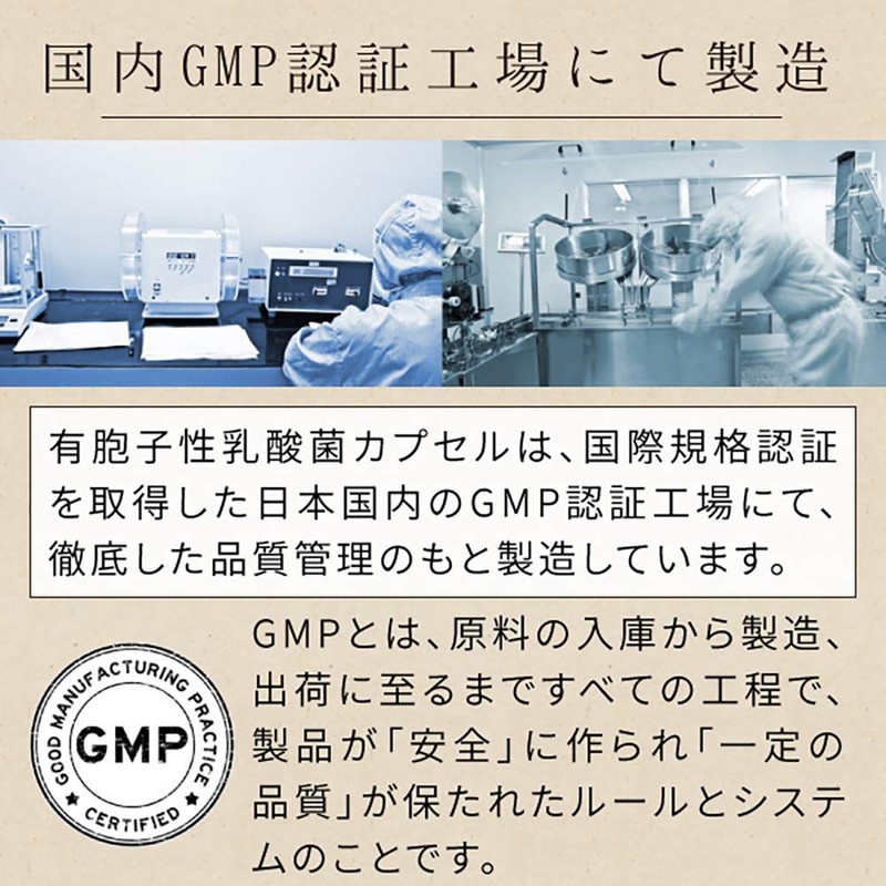 nichie 有胞子性乳酸菌 ビフィズス菌 乳酸菌生成物質 酵素 ソフトカプセル 約3ヶ月分(90粒)