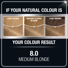 Garnier Olia Ammonia Free Permanent Hair Color, 100% Gray Coverage (Packaging May Vary), 8.0 Medium Blonde, Pack of 1