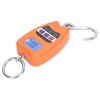 Digital Hanging Scale Portable 200kg Load Bearing Accurate Multifunctional Handheld