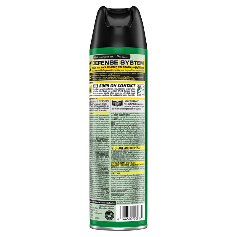 Raid House & Garden I, Indoor & Outdoor Insecticide Spray,