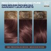 Clairol Nice'n Easy Pure Brunettes Permanent Hair Dye, 5BB Medium