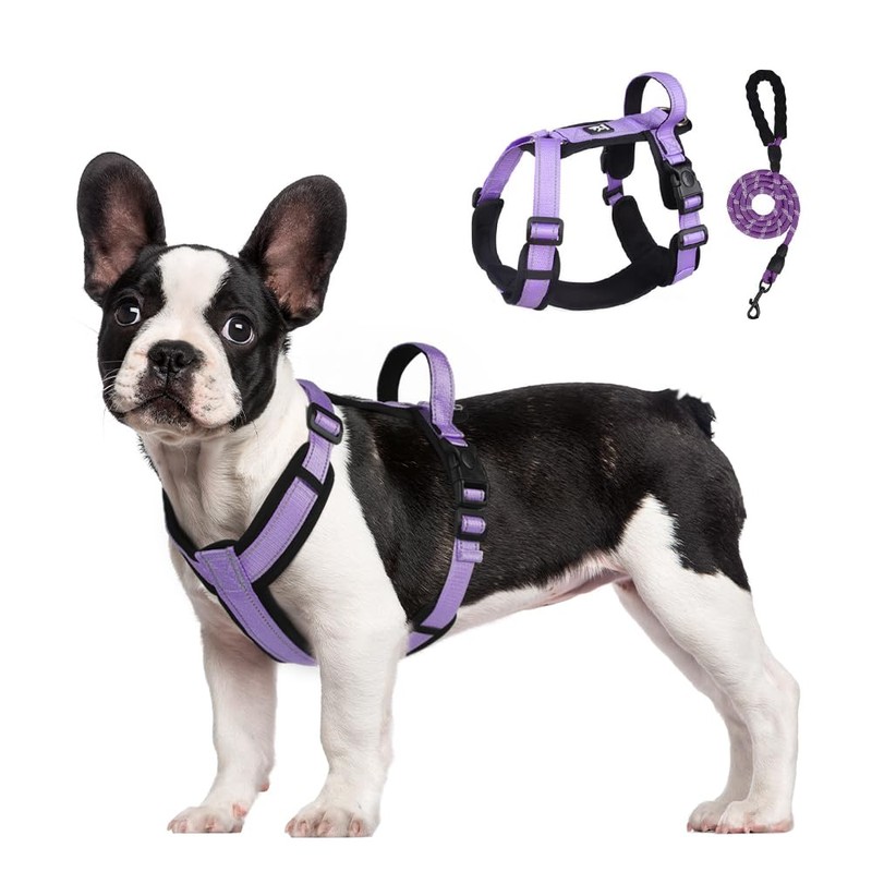 UNA MASCOTA Arnés para Perros Reflectante y Transpirable - Correa