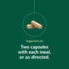 Standard Process Inc. Iplex - Whole Food Vascular Supplement, Eye