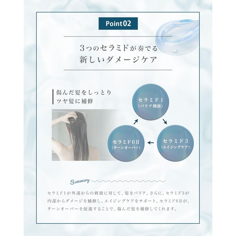 H & Ash and Shampoo Treatment, Beauty Salon Exclusive Amino