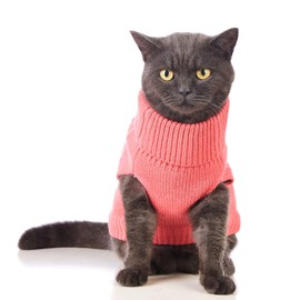 Jnancun Cat Sweater Keep Your Pets Cozy, 16 Color Turtleneck Knitted Sleeveless Cat Clothes, Winter Outfits for Cats & Small Dogs During Cold Seasons (Pink, Large)