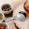 3 Pcs Stainless Steel Mini Spoons - Short Handle for