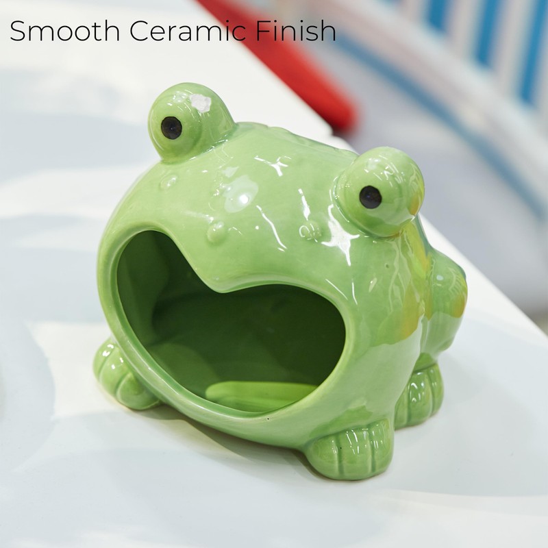 Ceramic Frog Sponge Holder for Kitchen Sink - Cute Sponge