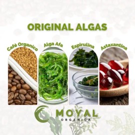Cafe Gourmet Original Black Fusión  Con Algas 30 Sobres                                                                                               