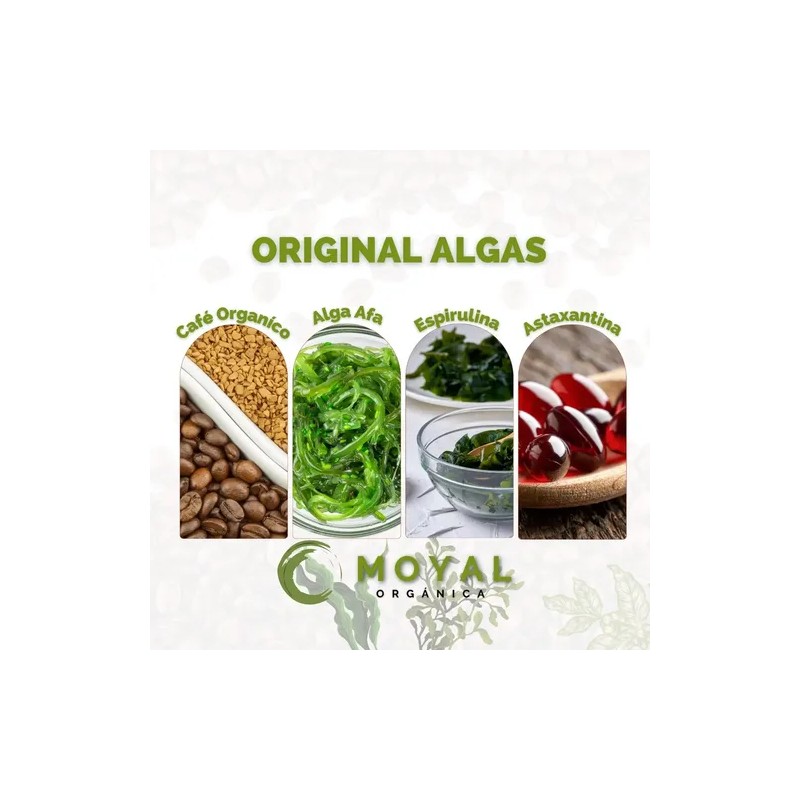Cafe Gourmet Original Black Fusión Con Algas 30 Sobres