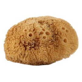 Avril Natural Body Sponge