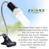 FUNKS Bird Cage UVB Light Combo Kit, AvianSun Lamp 2.4%