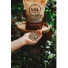 Sol Soils Original Sol Soil Topper – Decorative Rocks for