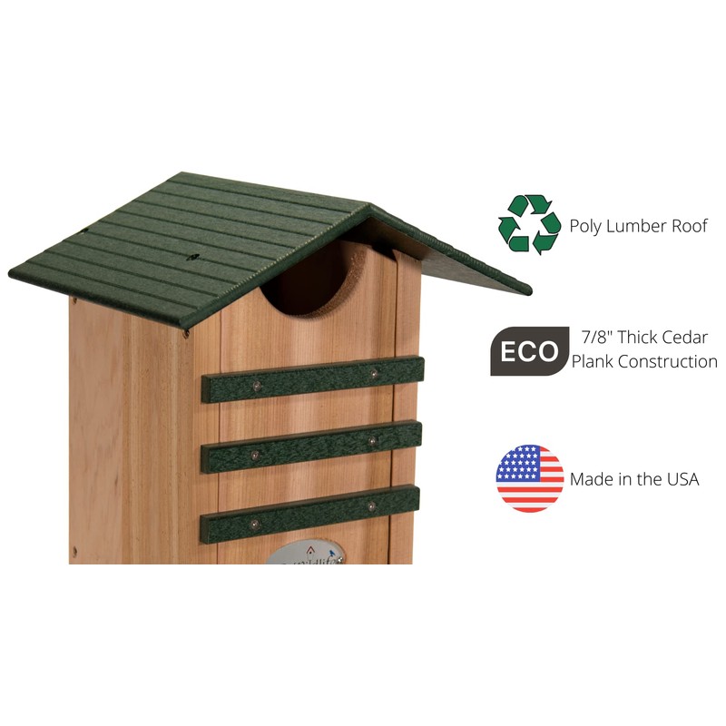 JCS Wildlife Screech Owl & Saw-Whet Owl House – Cedar