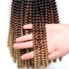 Xtrend 6 Packs Synthetic Fibre Ombre Spring Twist Braids Hair