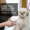 Fenice Peak 3pcs Dog Grooming Scissors Set Straight Thinning Curved