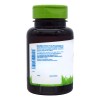 Ginkgo Biloba 90 Capsulas Vidanat Sabor Ninguno