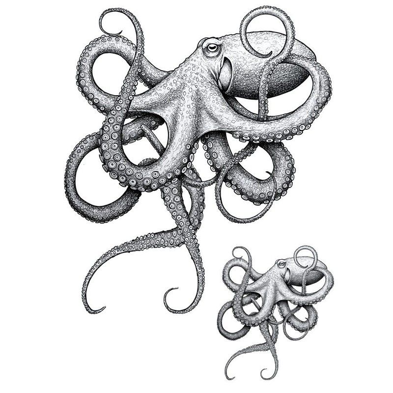 Matching Octopus Wrap Temporary Tattoo – Large 16x14cm + Small