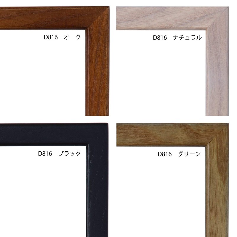 Larson Juhl Nippon D816 Picture Frame, black