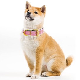 Diamond Dog Collar Adjustable Soft Pu Leather Collar with Golden Rhinestone Buckle Bling Collars for Small Medium Dogs Cats(Pink,L)