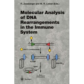 Molecular Analysis of DNA Rearrangements in the Immune System