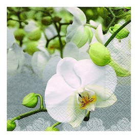 Motif napkin 33 x 33 cm orchids
