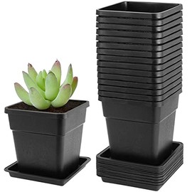 JEUIHAU 16 Paquetes de macetas cuadradas de plástico de 5,5 Pulgadas, Maceta Cuadrada Negra con platillos, Maceta de trasplante para Flores, suculentas, Hierbas, pequeñas Plantas en Maceta