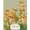 Chanterelles Composition Notebook: College Ruled Composition Book with Mushrooms, Fern