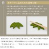 Noren Bamboo Chopsticks Rest (Bamboo Chopsticks Rest Bamboo) Chopstick Rest/Made
