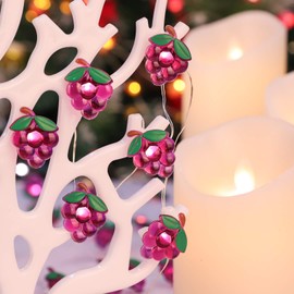 Silverstro Grape Decorative String Lights, 10 Ft 30 LED Fairy Lights with Remote, USB & Battery Operated 8 Modes of LED Light for Christmas Home Party Wedding Bedroom Decor