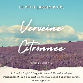 Reed Diffusers - Oil Sticks Diffuser Set with Real Dried Flowers - Reed Diffusers for Home, Bathroom & Office | Air Freshener Fragrance Sticks for Shelf Decor & Gifts by Le Petit Jardin & Co.