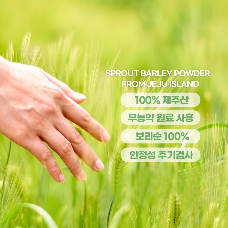 Barley sprout powder Domestic leaf barley sprout powder 500g 1