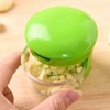 Kitchen Food Aid Garlic Ginger Master Box Plastic Stainless Steel
