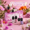 SALKING Set de Aceites Esenciales Florales, 6 x 10 ml