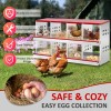 8 Compartment Chicken Metal Nesting Box, 8 Room Wall Mountable