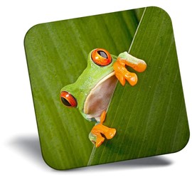 Destination Vinyl ltd Fridge Magnet - Green Frog Nature Frogs 3682