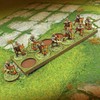 LITKO 6x2 Formation Movement Tray for 25mm Circle Bases |