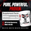 JNX SPORTS The Curse Creatine Monohydrate Peach Mango 50 Servings