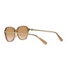 Coach HC8332D Women's Sunglasses, Transparent brown