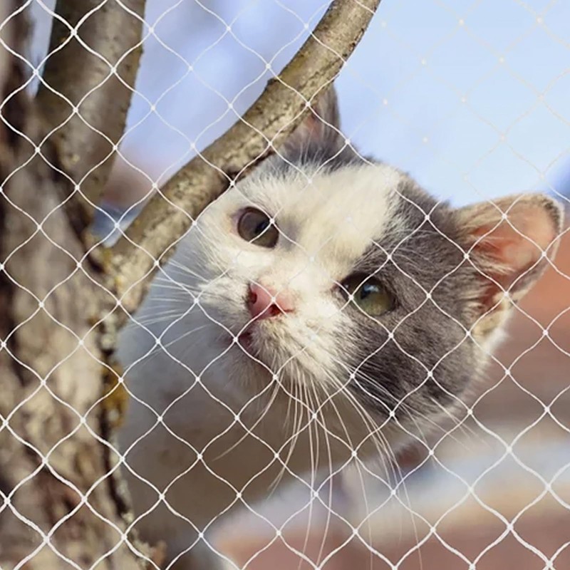 QILUCKY Nylon Cat Protection Net for Balcony, Transparent, Can Be