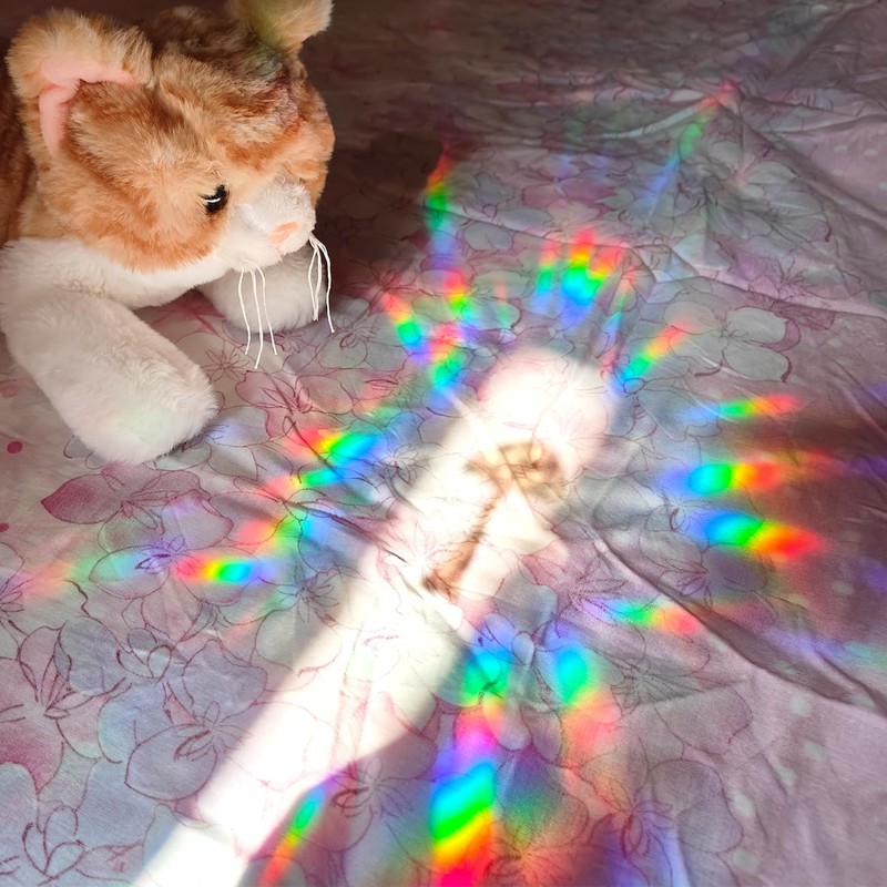 EONBES Anti Collision Window Sticker to Prevent Bird Strikes Bird